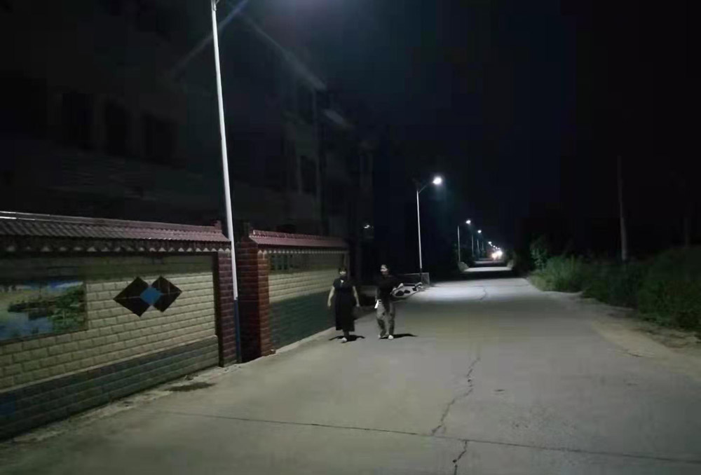 路燈亮了，村民的心里也敞亮了 ——衡陽幼高專持續(xù)推進黨史學(xué)習(xí)教育“為民辦實事”活動側(cè)記