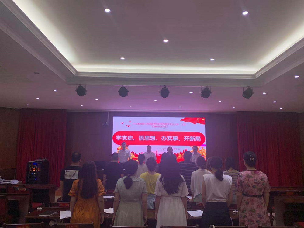 衡陽幼高專各黨支部相繼召開黨史學(xué)習(xí)教育專題組織生活會(huì)