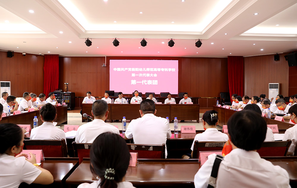 衡陽幼兒師范高等?？茖W校第一次黨代會代表熱議大會工作報告
